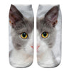 Socken Mit Kreativem Katzenmuster