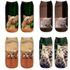 Kreative Socken Mit Katzenmuster