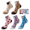 Packung Mit 5 Paar Cartoon-Socken